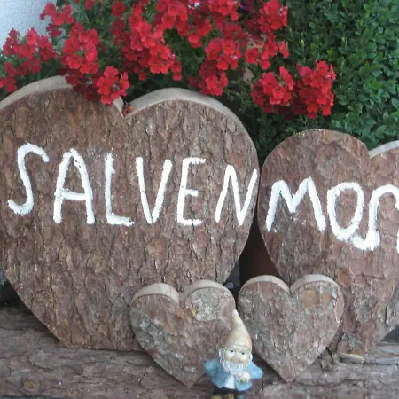 Haus Salvenmoser 民宿 瓦尔赫湖