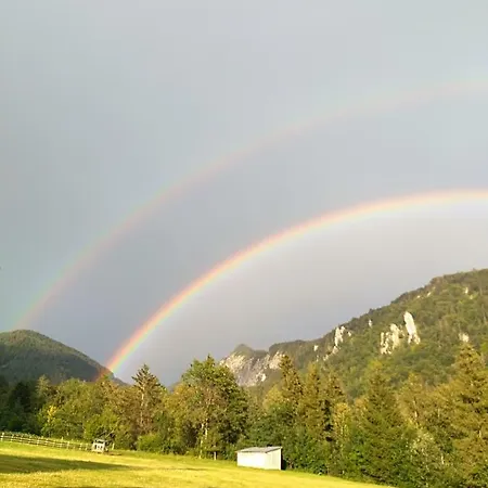 Haus Salvenmoser Walchsee