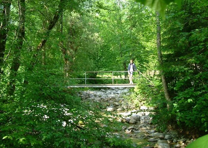 홈스테이 Haus Salvenmoser 왈츠시